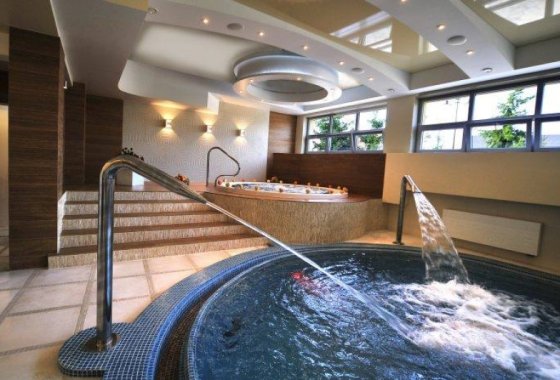 hotel *** - Hotel *** Knieja - Usługi - zdjęcie 2
