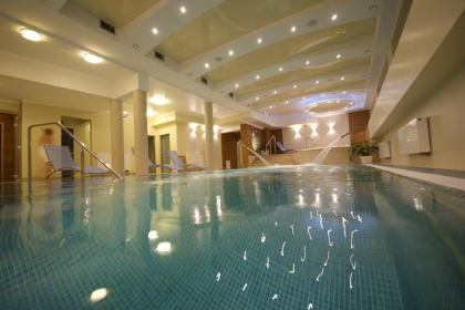 hotel *** - Hotel *** Knieja - zdjęcie 9