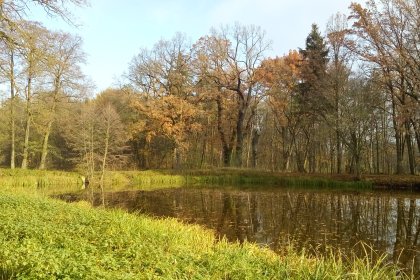 pałac - Pałac Rozalin - zdjęcie 20