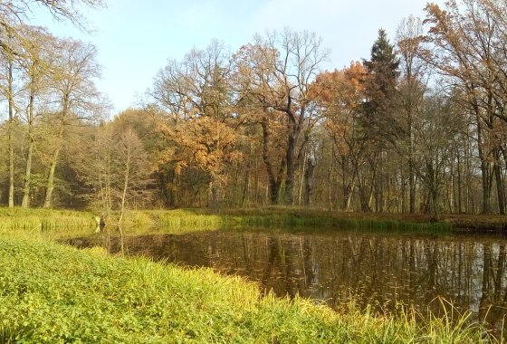 pałac - Pałac Rozalin - Usługi - zdjęcie 2