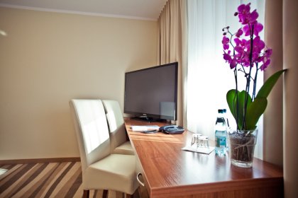 hotel *** - Hotel *** Mazovia - zdjęcie 5