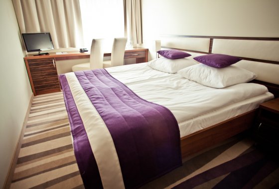 hotel *** - Hotel *** Mazovia - Pokoje - zdjęcie 1