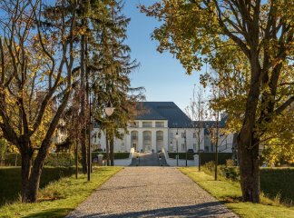 Arche Zamek Jan&oacute;w Podlaski