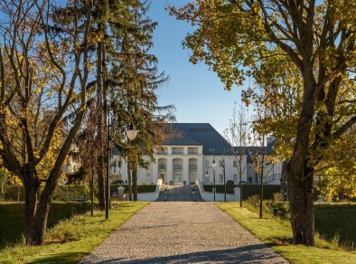 Arche Zamek Janów Podlaski