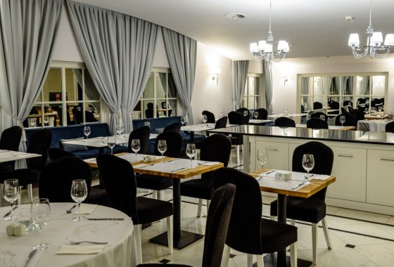 hotel **** - Arche Zamek Janów Podlaski - Usługi - zdjęcie 7