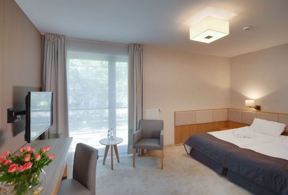 obiekt konferencyjny - EVA Park Life & SPA - Konstancin-Jeziorna - Pokoje - zdjęcie 7