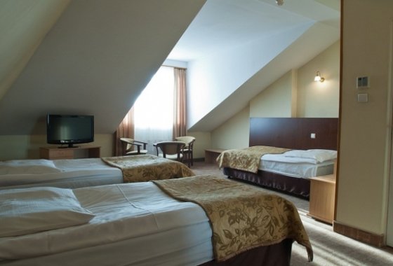 hotel *** - Hotel Ambasador Chojny Łódź - Pokoje - zdjęcie 6