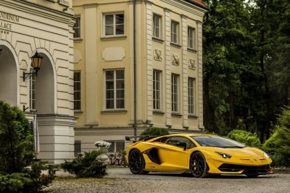 hotel **** - Hotel Pałac Alexandrinum**** - zdjęcie 10