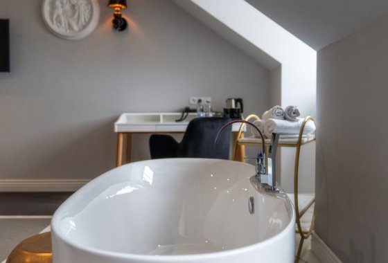 hotel **** - Hotel Pałac Alexandrinum**** - Pokoje - zdjęcie 8