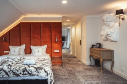 hotel **** - Hotel Pałac Alexandrinum**** - zdjęcie 22