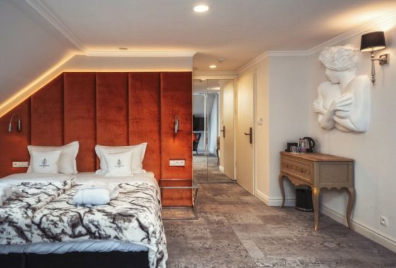 hotel **** - Hotel Pałac Alexandrinum**** - Pokoje - zdjęcie 6