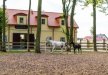 hotel **** - Hotel Pałac Alexandrinum**** - zdjęcie 44