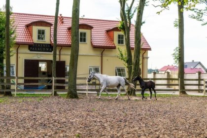 hotel **** - Hotel Pałac Alexandrinum**** - zdjęcie 44