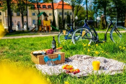 hotel **** - Hotel Pałac Alexandrinum**** - zdjęcie 47