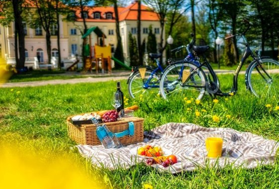 hotel **** - Hotel Pałac Alexandrinum**** - Usługi - zdjęcie 18