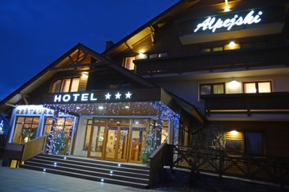 hotel *** - Hotel Alpejski Polanica Zdrój - zdjęcie 17