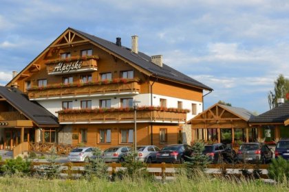 hotel *** - Hotel Alpejski Polanica Zdrój - zdjęcie 15