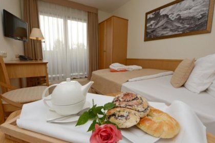 hotel *** - Hotel Alpejski Polanica Zdrój - zdjęcie 29