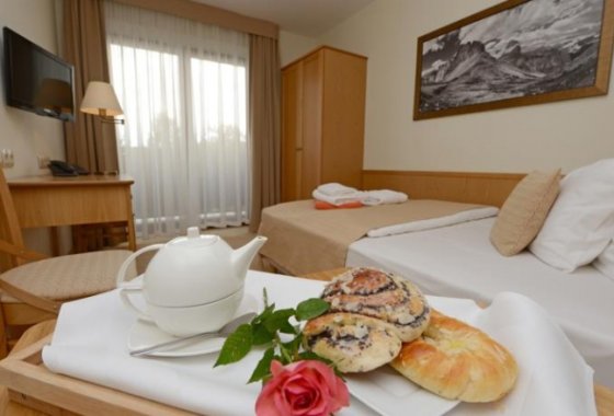 hotel *** - Hotel Alpejski Polanica Zdrój - Pokoje - zdjęcie 1
