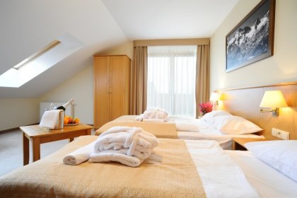hotel *** - Hotel Alpejski Polanica Zdrój - zdjęcie 27