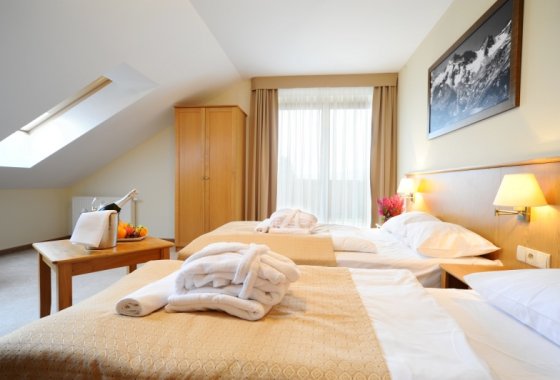 hotel *** - Hotel Alpejski Polanica Zdrój - Pokoje - zdjęcie 9