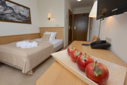 hotel *** - Hotel Alpejski Polanica Zdrój - zdjęcie 26