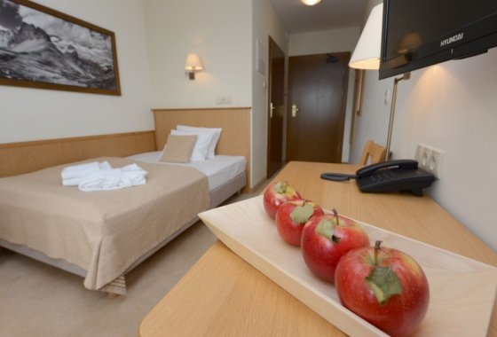 hotel *** - Hotel Alpejski Polanica Zdrój - Pokoje - zdjęcie 8