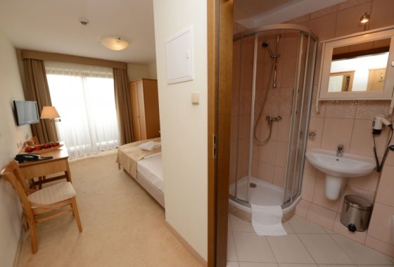 hotel *** - Hotel Alpejski Polanica Zdrój - Pokoje - zdjęcie 6