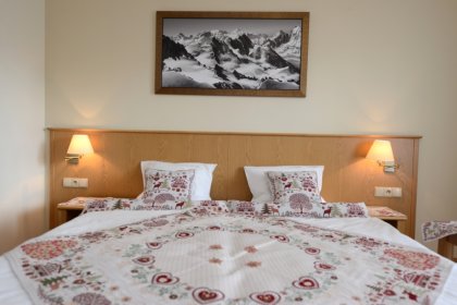 hotel *** - Hotel Alpejski Polanica Zdrój - zdjęcie 21