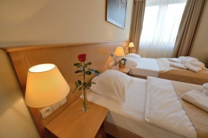 hotel *** - Hotel Alpejski Polanica Zdrój - zdjęcie 22