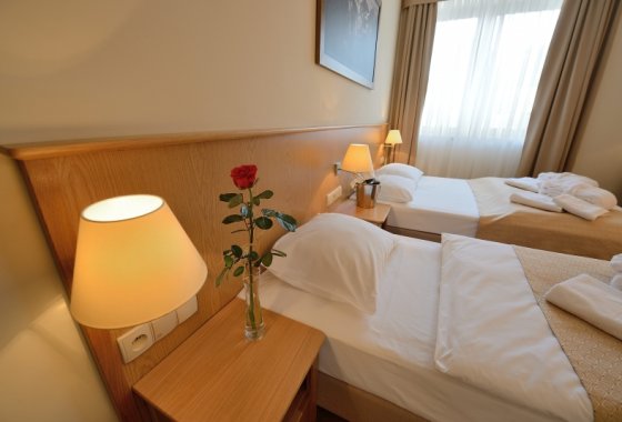 hotel *** - Hotel Alpejski Polanica Zdrój - Pokoje - zdjęcie 4