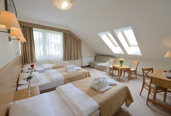 hotel *** - Hotel Alpejski Polanica Zdrój - Pokoje - zdjęcie 7