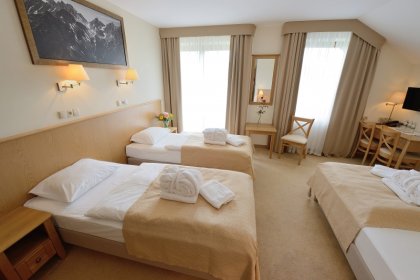 hotel *** - Hotel Alpejski Polanica Zdrój - zdjęcie 19