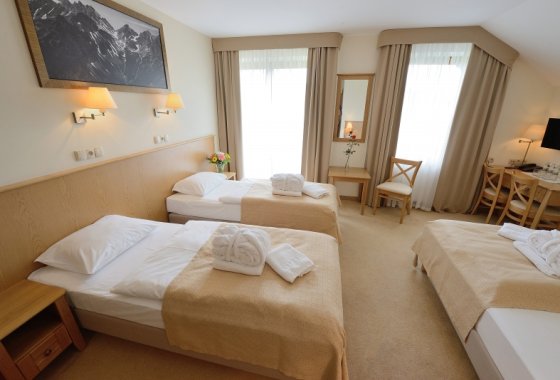 hotel *** - Hotel Alpejski Polanica Zdrój - Pokoje - zdjęcie 11