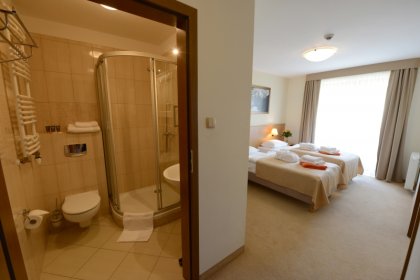 hotel *** - Hotel Alpejski Polanica Zdrój - zdjęcie 23