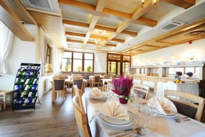 hotel *** - Hotel Alpejski Polanica Zdrój - zdjęcie 30
