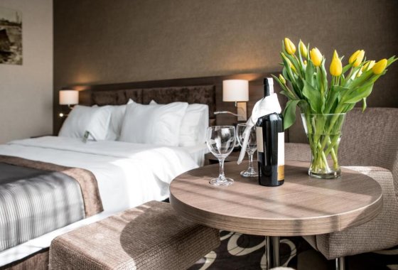 hotel **** - Holiday Inn Dąbrowa Górnicza - Pokoje - zdjęcie 3