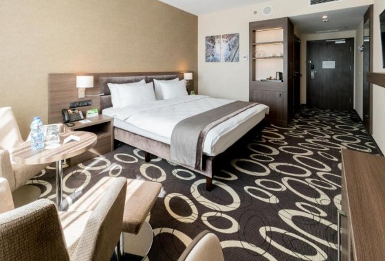 hotel **** - Holiday Inn Dąbrowa Górnicza - Pokoje - zdjęcie 1