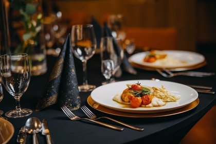 obiekt konferencyjny - Osada Śnieżka - zdjęcie 9