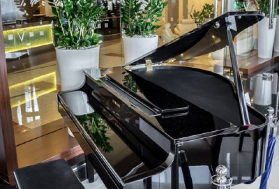 hotel **** - Aparthotel Vanilla - Usługi - zdjęcie 3