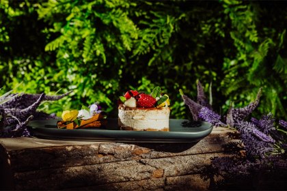 hotel **** - Blue Mountain Resort Szklarska Poręba - zdjęcie 32