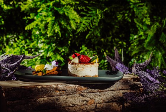 hotel **** - Blue Mountain Resort Szklarska Poręba - Usługi - zdjęcie 14