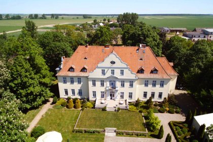pałac - Pałac Szczepowice - zdjęcie 24
