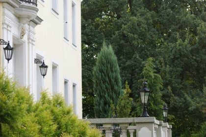 pałac - Pałac Szczepowice - zdjęcie 34
