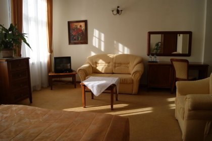 pałac - Pałac Szczepowice - zdjęcie 39
