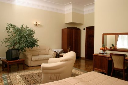 pałac - Pałac Szczepowice - zdjęcie 37