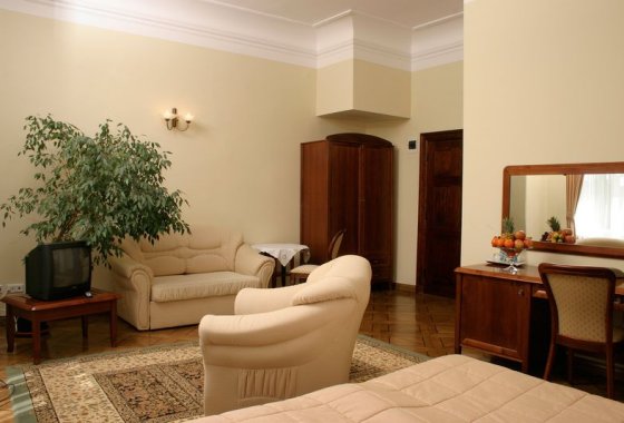 pałac - Pałac Szczepowice - Pokoje - zdjęcie 2