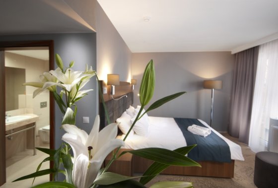 hotel *** - Navigator Hotel i Konferencje - Pokoje - zdjęcie 6