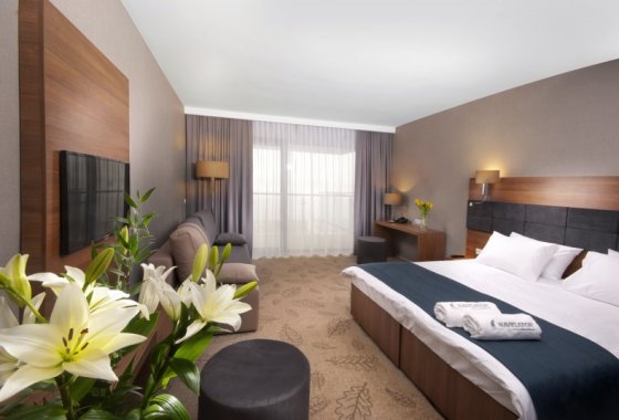 hotel *** - Navigator Hotel i Konferencje - Pokoje - zdjęcie 9
