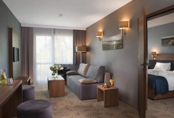 hotel *** - Navigator Hotel i Konferencje - Pokoje - zdjęcie 8